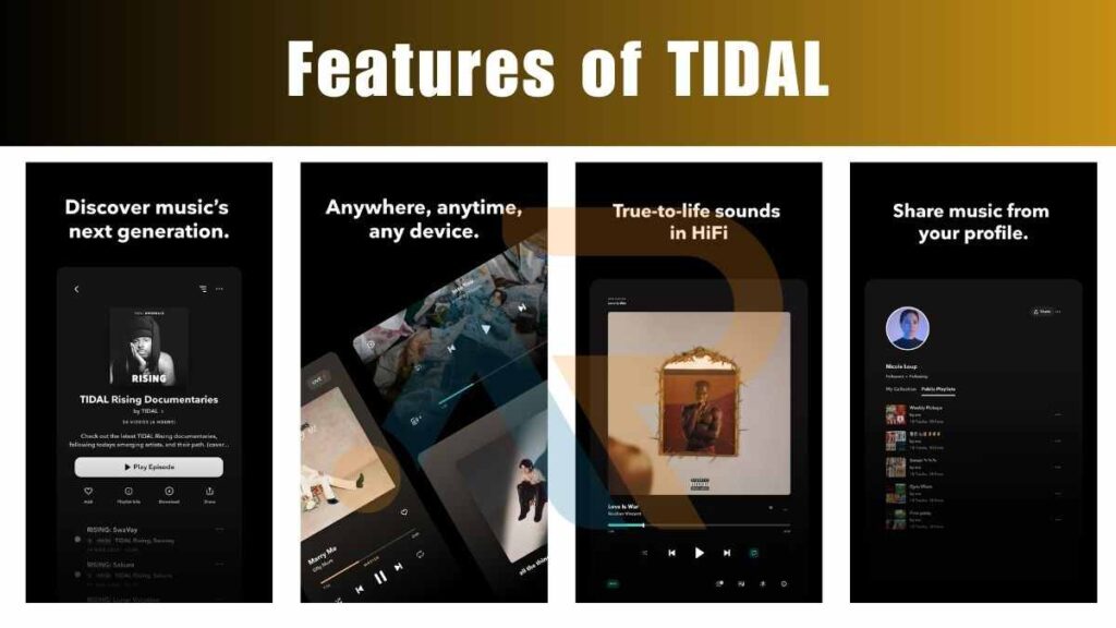 Image show features of TIDAL