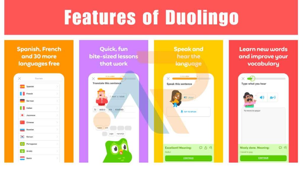 Features of Duolingo