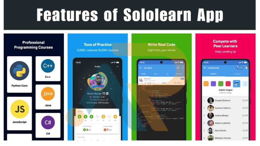 Features of sololearn 