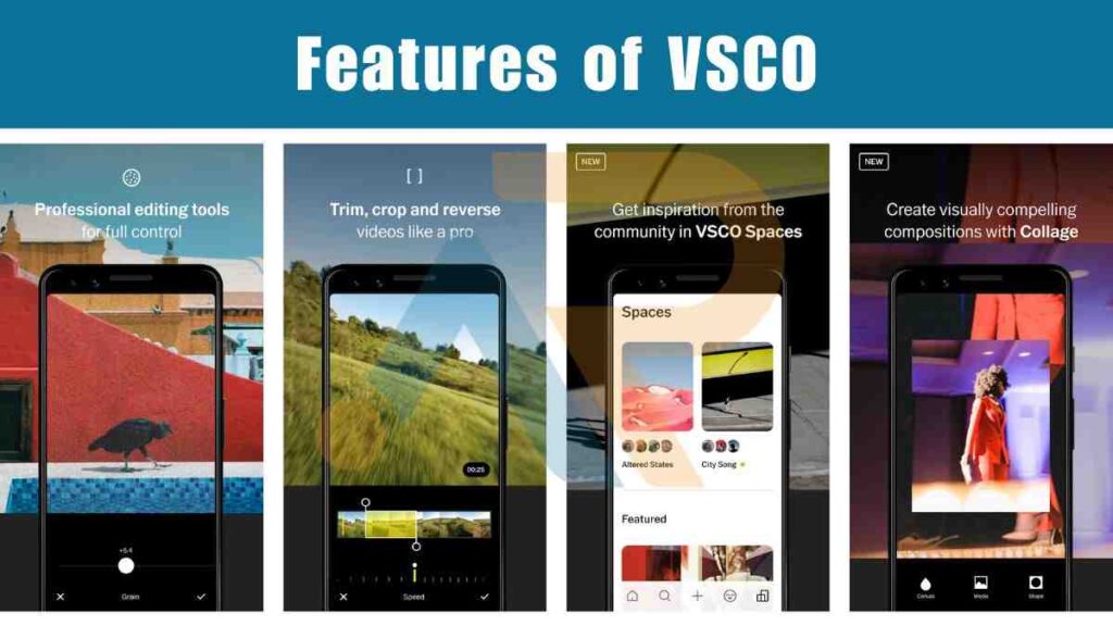 Features of VSCO
